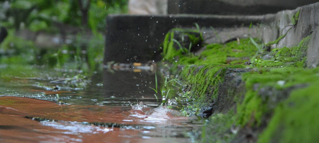 Regen fällt auf eine mit Moos bewachsene Steinmauer und einen nassen Boden mit Pfützen, symbolisiert nachhaltige Pumpentechnik