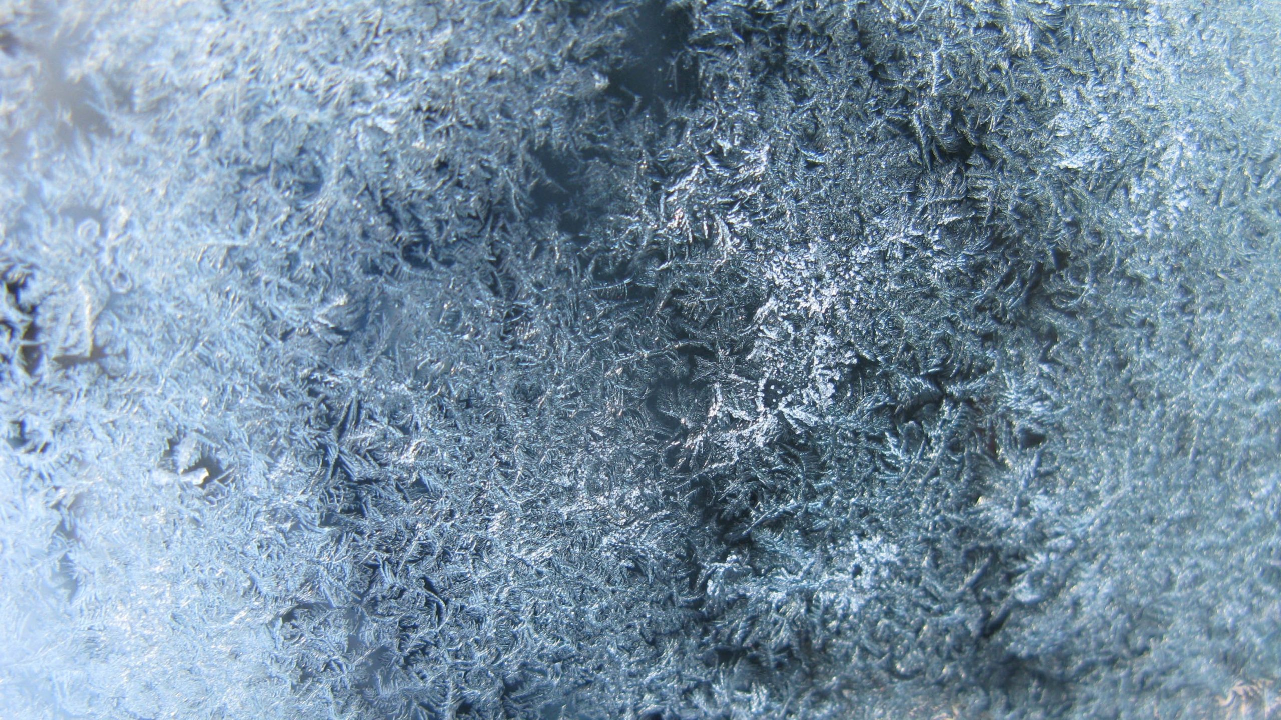 Nahaufnahme von frostigen Eiskristallen mit feiner, verzweigter Struktur in bläulichen Farbtönen, nicht winterfest.